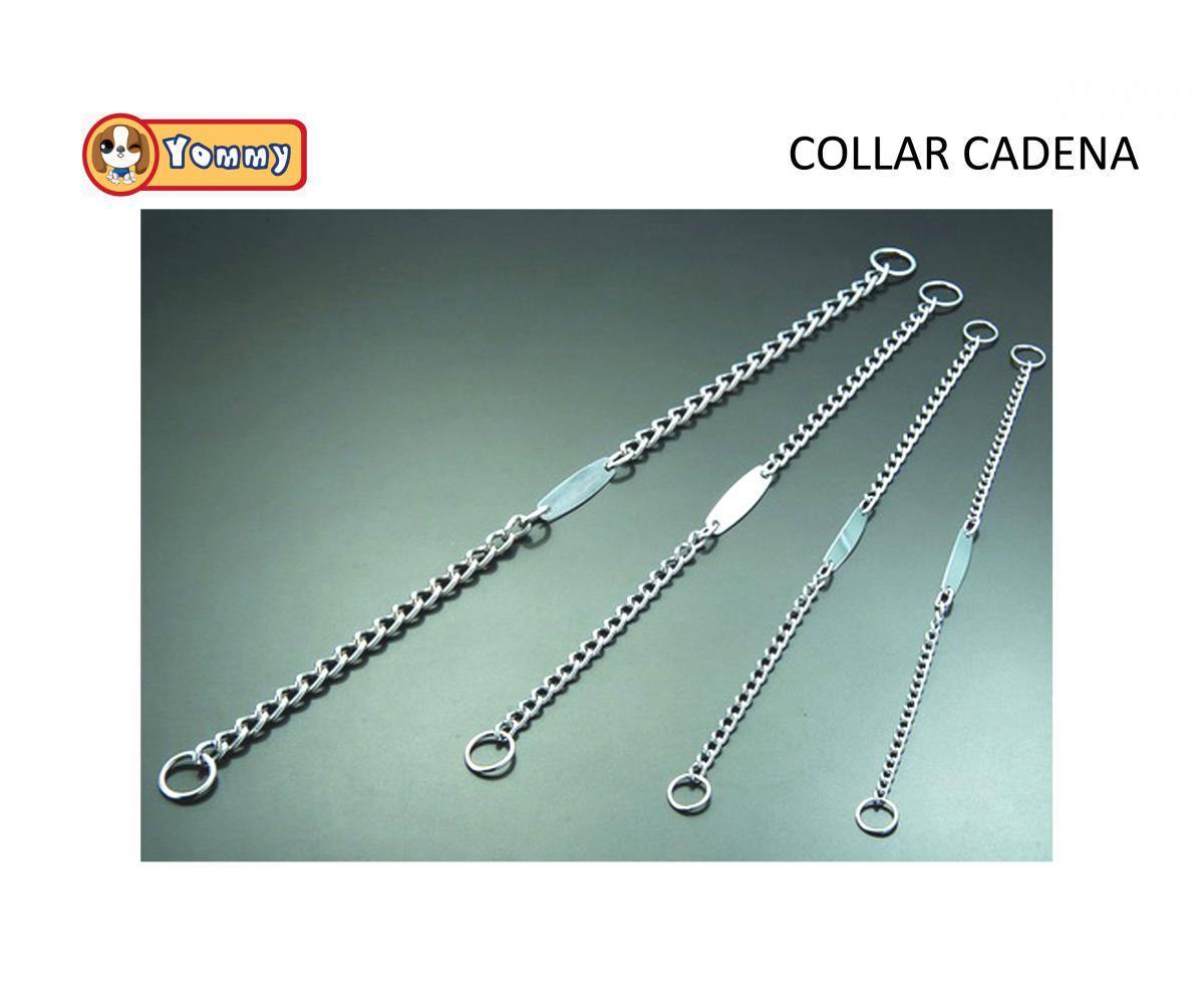 Collar cadena con placa