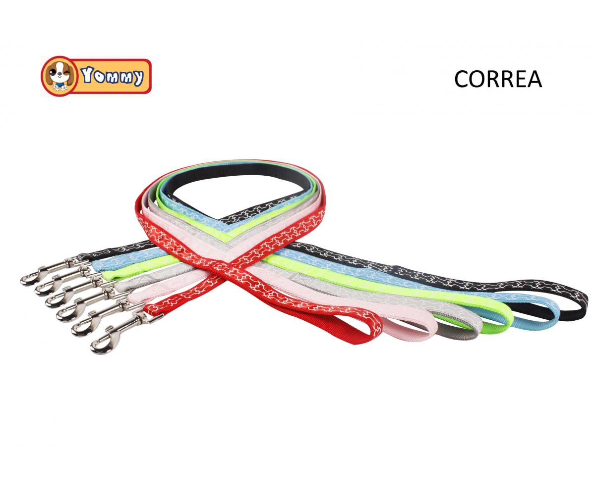 Correa con Patrón de hueso hueco
